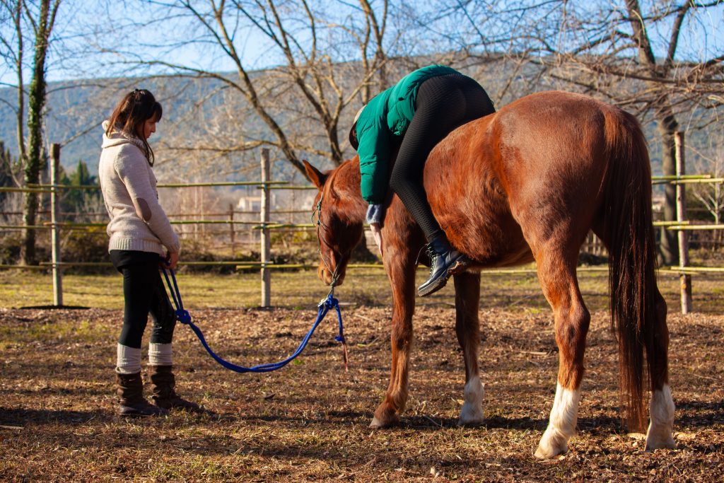 Hypnose et Cheval - Ganges - Cévennes, Hérault (34)